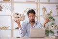 Young male paleontologist examining ancient animals at lab Royalty Free Stock Photo