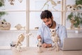 Young male paleontologist examining ancient animals at lab Royalty Free Stock Photo