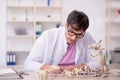 Young male paleontologist examining ancient animals at lab Royalty Free Stock Photo