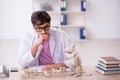 Young male paleontologist examining ancient animals at lab Royalty Free Stock Photo