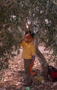 A young Palestinian boy in an olive grove.