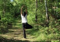 Girl exercising yoga - tree pose Royalty Free Stock Photo