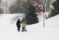 Young parents with a baby transport