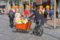 Young parents carry children in the bicycle stroller