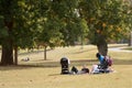 Young Parents Relax On Blanket In Park