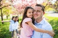 Young parents with small daughters standing outside in spring nature. Royalty Free Stock Photo