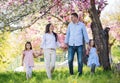 Young parents with small daugthers walking outside in spring nature. Royalty Free Stock Photo