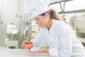 Young pastrycook at work Royalty Free Stock Photo