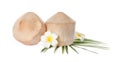 Young peeled coconuts with palm leaf and beautiful flowers on white background Royalty Free Stock Photo