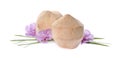 Young peeled coconuts with palm leaf and beautiful flowers on white background Royalty Free Stock Photo