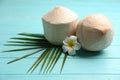 Young peeled coconuts with palm leaf and flower on light blue wooden table Royalty Free Stock Photo