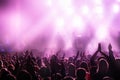 Young people celebrating at concert, having fun at music festival. Royalty Free Stock Photo