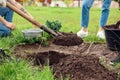 Volunteering. Young people volunteers outdoors planting together digging ground close-up