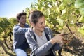 Young people picking up grapes