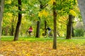 Young people riding bicycle down the park alley in autumn Royalty Free Stock Photo