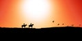 Young people riding horses at sunset time - Horseback travel people having fun exploring wild nature Royalty Free Stock Photo