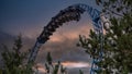 Young people screaming during a ride at Europa Park roller coaster \