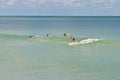 Young, people surfing in tropical waters