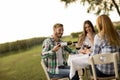 Young people by the table in the vineyard Royalty Free Stock Photo