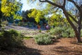 Young people walking along a path in the garden near orange and lush green plants and trees Royalty Free Stock Photo