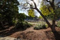 Young people walking along a path in the garden near orange and lush green plants and trees Royalty Free Stock Photo