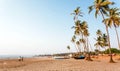 Young people walking on sandy beach with palm trees. Calmness of South India, Goa area