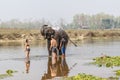 Elephant taking a shower in Chitwan National Park, Nepal Royalty Free Stock Photo