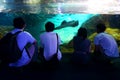 Young people watching marine fish in the aquarium Royalty Free Stock Photo