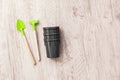 Young pepper, basil, microgreen seedlings in plastic reusable pot with small shovel rake on windowsill. Green vegetable Royalty Free Stock Photo