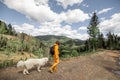 Person walks with dog in the mountain forest Royalty Free Stock Photo