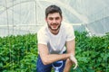 Young photogenic guy is working in a greenhouse. Royalty Free Stock Photo