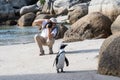 Young photographer taking photos of penguin Royalty Free Stock Photo