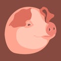 Young pig vector illustration style Flat head Royalty Free Stock Photo