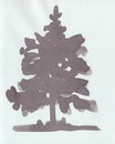 Young pine, silhouetted monochrome drawing on a light background