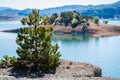 Young pinewood on the distant island background at the Aoos Springs Lake in the Metsovo in Epirus Royalty Free Stock Photo
