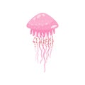 Young, pink marine jellyfish at underwater quick swimming