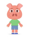 young pink pig in shorts and shirt stands isolated on white background. symbol of the year. flat style