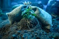 Young Plant Emerging from Burlap Bag on Fertile Soil, Symbol of Growth and Sustainability in Moody Lighting Royalty Free Stock Photo