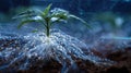 young plant glowing roots technology Royalty Free Stock Photo
