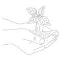 Young plant with ground in hands. Vector. Outline Royalty Free Stock Photo