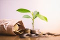 Young plant grow and coins stack. Royalty Free Stock Photo