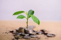 Young plant grow and coins stack. Royalty Free Stock Photo