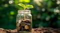 Young plant growing from coins in savings jar, saving money for future, grow wealth through investing and sustainability concept. Royalty Free Stock Photo