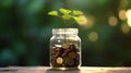 Young plant growing from coins in savings jar, saving money for future, grow wealth through investing and sustainability concept. Royalty Free Stock Photo