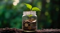 Young plant growing from coins in savings jar, saving money for future, grow wealth through investing and sustainability concept. Royalty Free Stock Photo