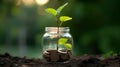 Young plant growing from coins in savings jar, saving money for future, grow wealth through investing and sustainability concept. Royalty Free Stock Photo