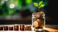 Young plant growing from coins in savings jar and stacks of coins, saving money for future, investment profit and sustainability