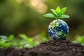 A young plant growing from the earth, symbolizing the nurturing of our planet and sustainable development Royalty Free Stock Photo