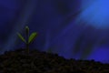 Young plant growing in the Phantom blue light and green nature bokeh background , new life growth ecology business financial