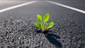 A young plant grows on asphalt on a sidewalk in the city